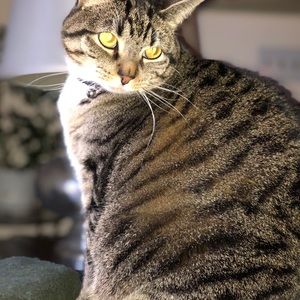 Meet your Posher, Barb